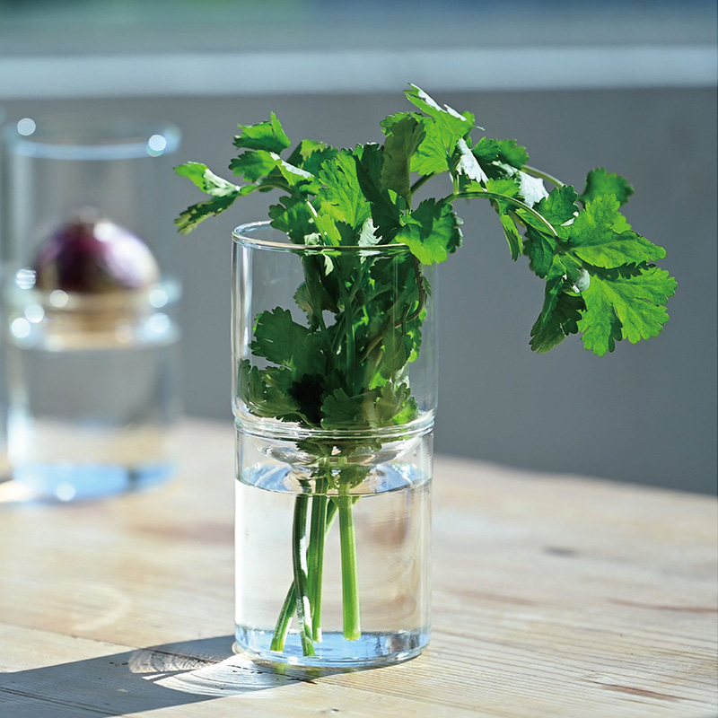 Glass Flower Vase - GK-200-T image1