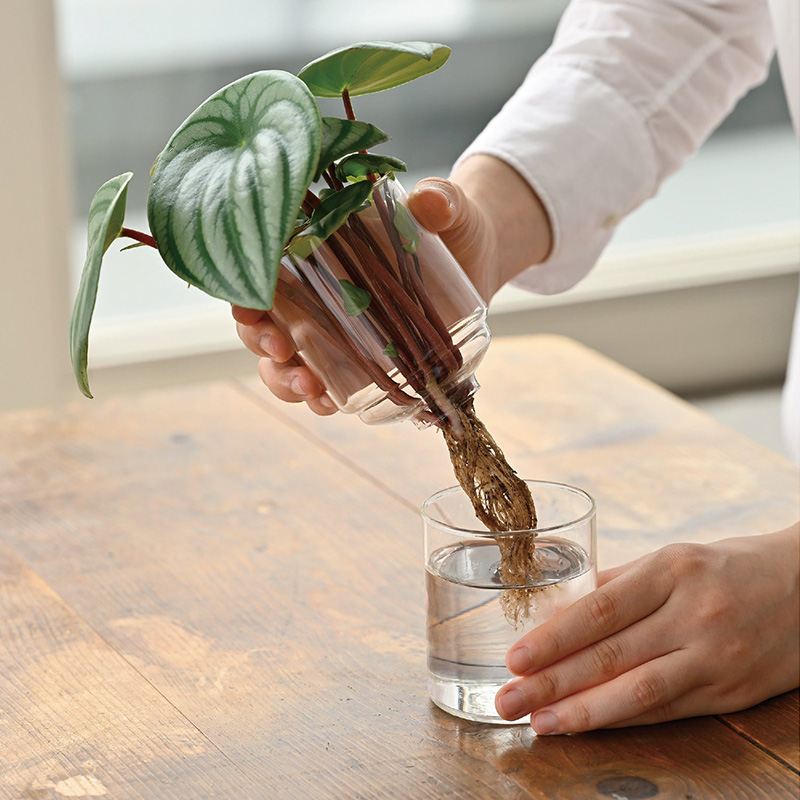 Glass Flower Vase - GK-200-T image2