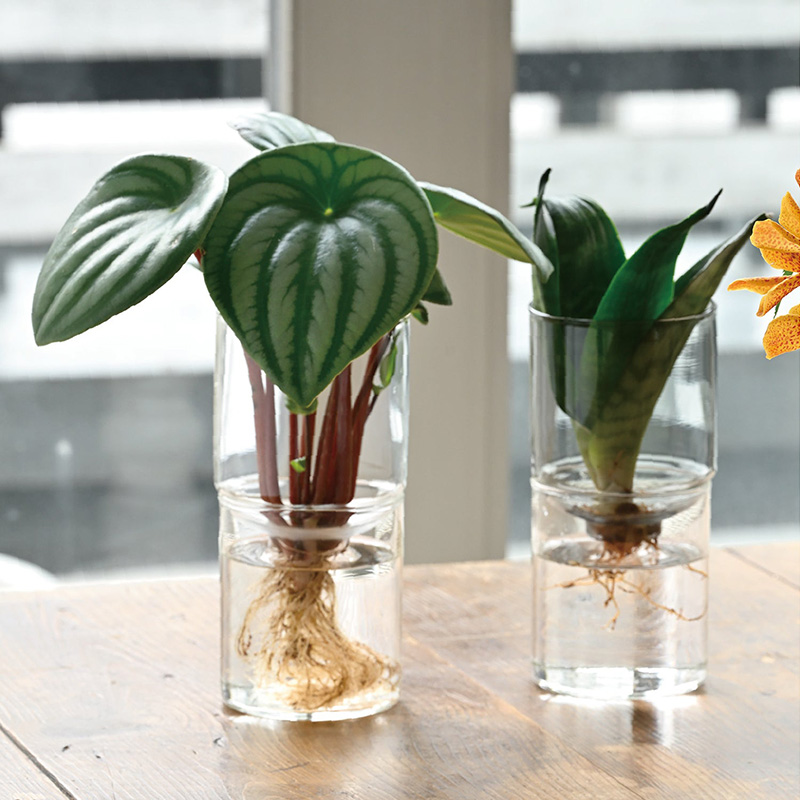 Glass Flower Vase - GK-200-T image3