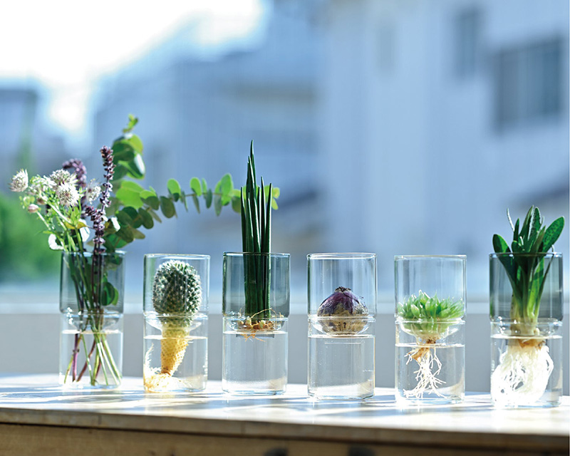 Glass Flower Vase - GK-200-T